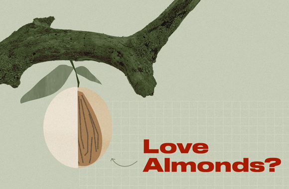 アーモンド農家がカリフォルニアの持続可能性を開拓する方法