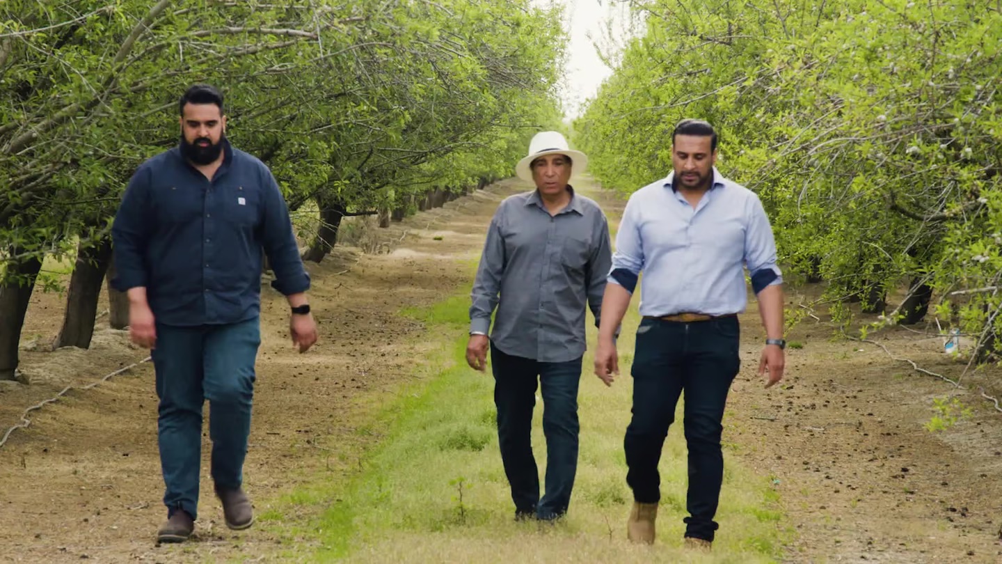 Three man walking through an almonds orchard